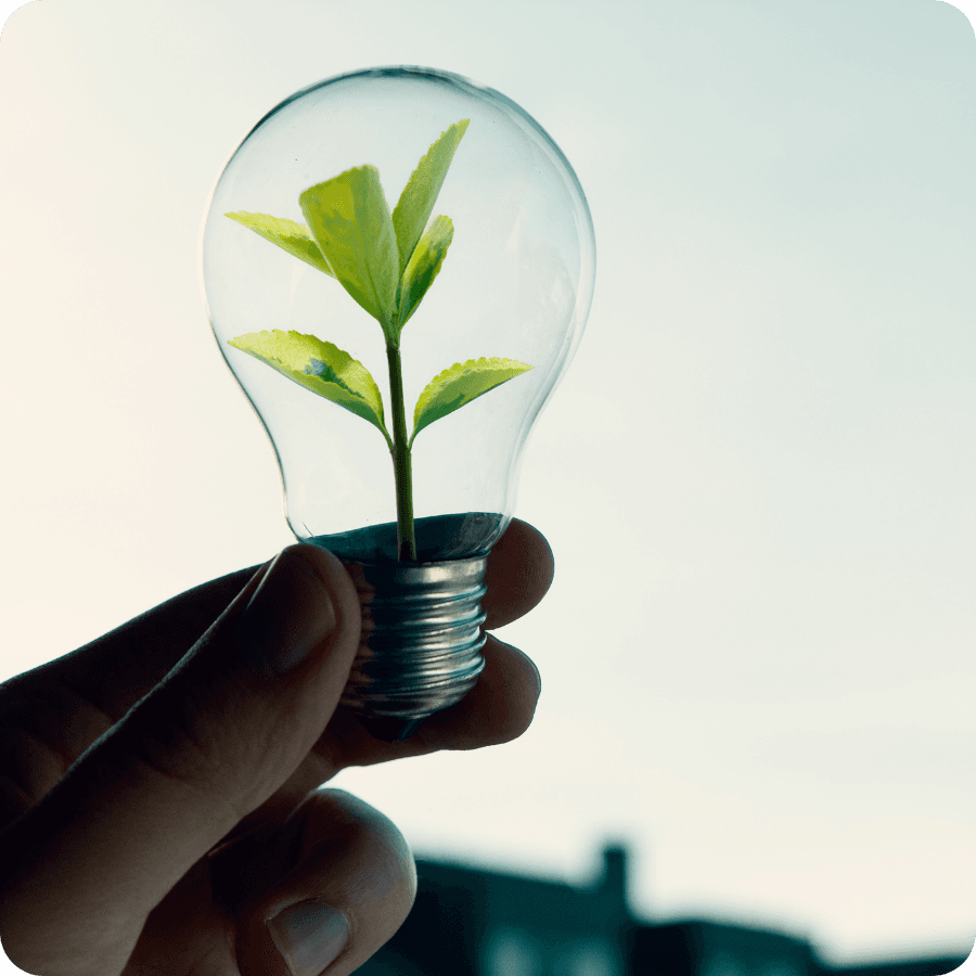 Sustaind approach